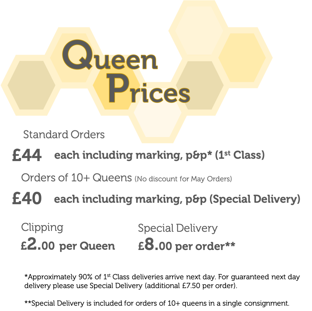 BHP Queens, queen bees for sale, buy queen bees, queen bees, buckfast queens, buy a queen bee, british queen bees, queen bees, British Honey Producers, queen bee prices, Order a queen bee, 2021 queen bees, F1 Buckfast queens, Ged Marshall, beekeeping, 
